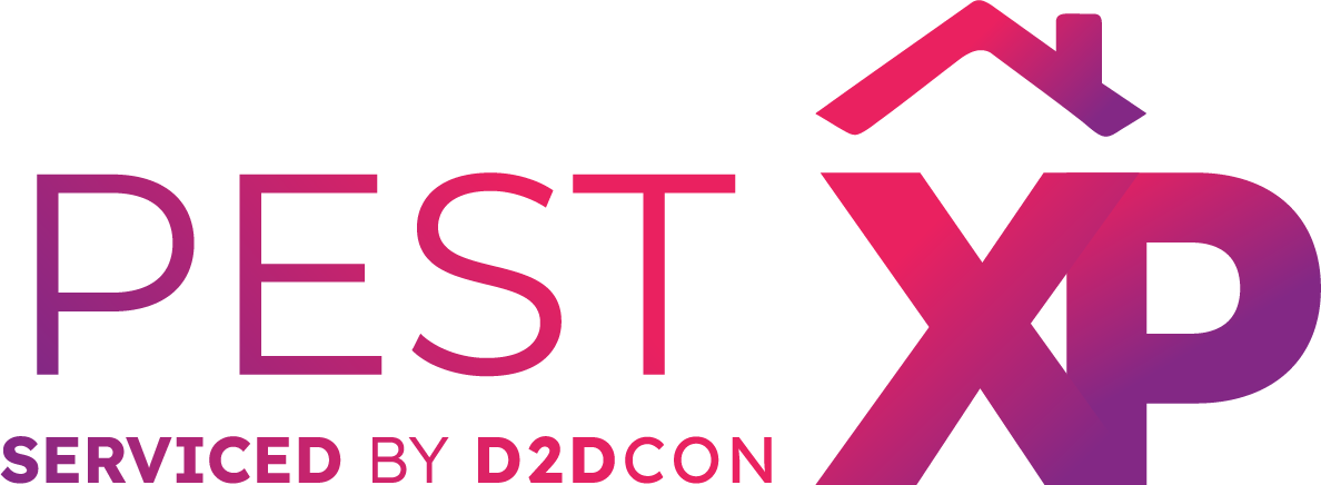 Pest XP